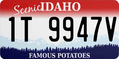 ID license plate 1T9947V