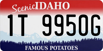 ID license plate 1T9950G
