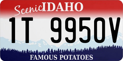 ID license plate 1T9950V