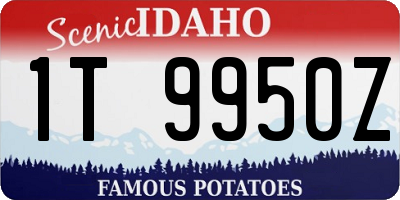 ID license plate 1T9950Z