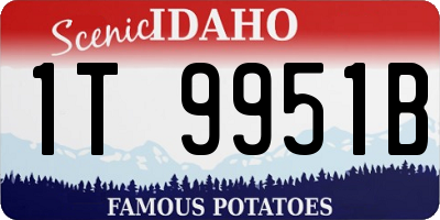 ID license plate 1T9951B