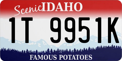 ID license plate 1T9951K