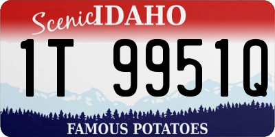 ID license plate 1T9951Q
