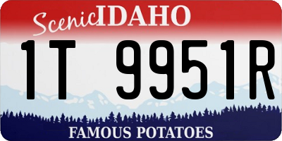 ID license plate 1T9951R