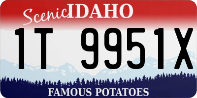 ID license plate 1T9951X