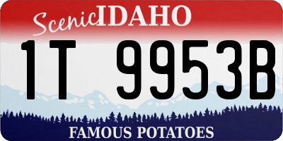 ID license plate 1T9953B