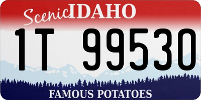 ID license plate 1T9953O