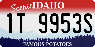 ID license plate 1T9953S