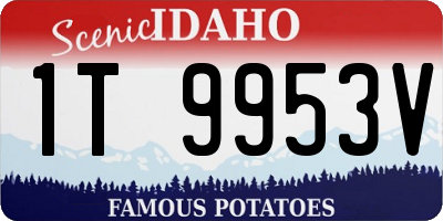 ID license plate 1T9953V