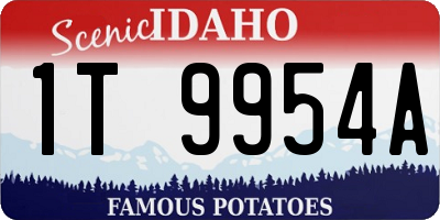 ID license plate 1T9954A