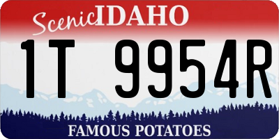 ID license plate 1T9954R