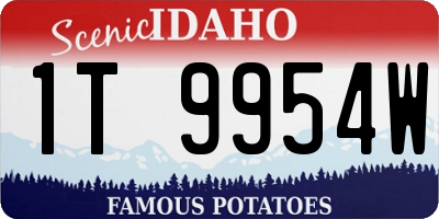 ID license plate 1T9954W