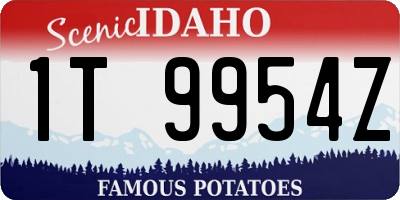 ID license plate 1T9954Z