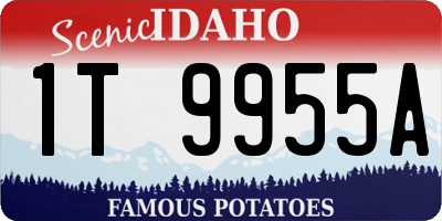 ID license plate 1T9955A