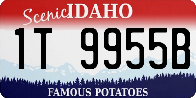 ID license plate 1T9955B