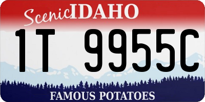 ID license plate 1T9955C