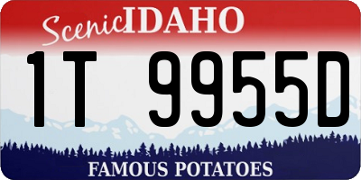 ID license plate 1T9955D