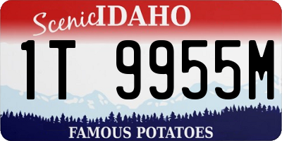 ID license plate 1T9955M