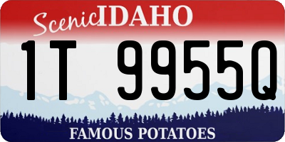 ID license plate 1T9955Q