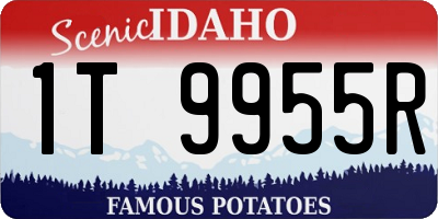 ID license plate 1T9955R