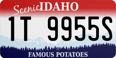 ID license plate 1T9955S