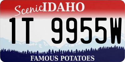 ID license plate 1T9955W