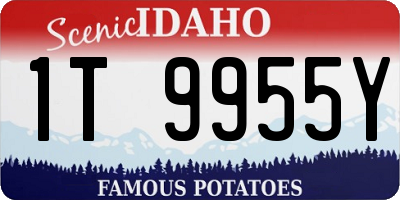 ID license plate 1T9955Y