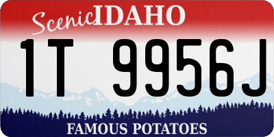 ID license plate 1T9956J