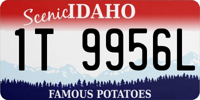ID license plate 1T9956L