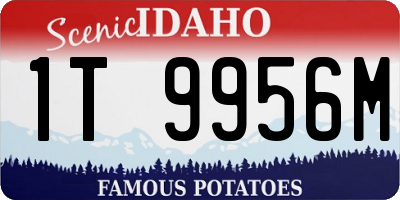 ID license plate 1T9956M
