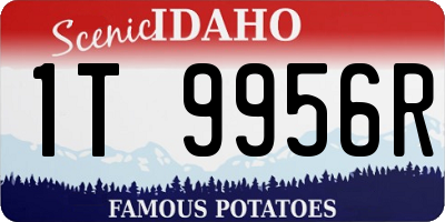 ID license plate 1T9956R