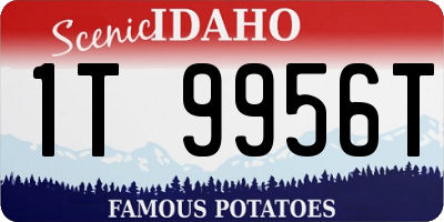 ID license plate 1T9956T