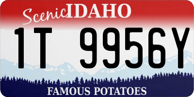 ID license plate 1T9956Y