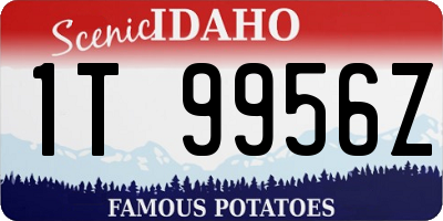 ID license plate 1T9956Z