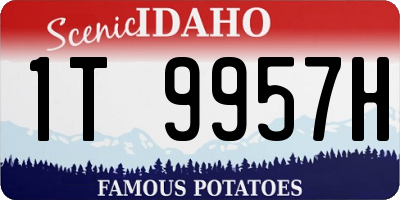ID license plate 1T9957H