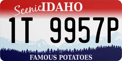 ID license plate 1T9957P