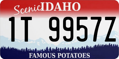ID license plate 1T9957Z