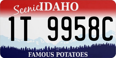 ID license plate 1T9958C