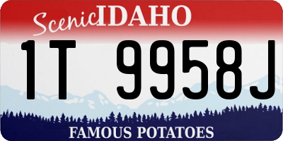ID license plate 1T9958J