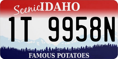 ID license plate 1T9958N