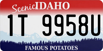 ID license plate 1T9958U