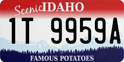 ID license plate 1T9959A