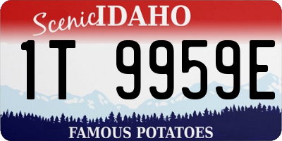 ID license plate 1T9959E