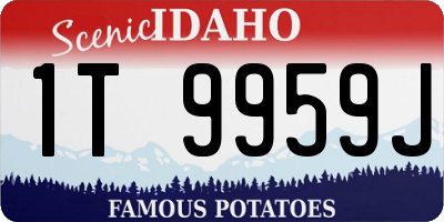 ID license plate 1T9959J