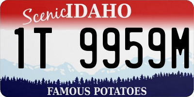ID license plate 1T9959M