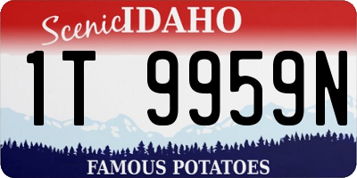 ID license plate 1T9959N