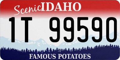 ID license plate 1T9959O