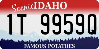 ID license plate 1T9959Q