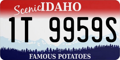 ID license plate 1T9959S