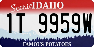 ID license plate 1T9959W